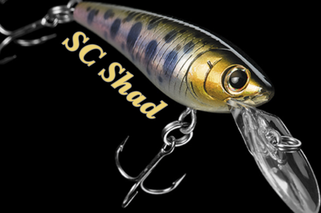 IT’S BACK…The SC Shad Returns!